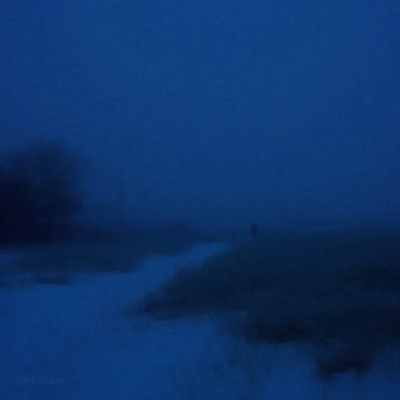 disappear
