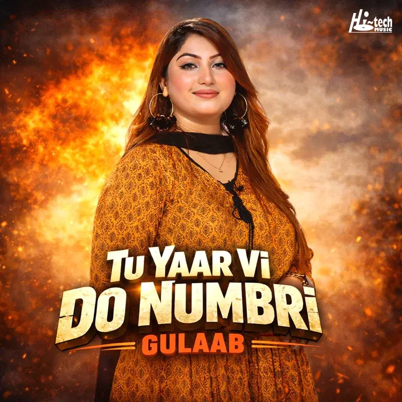 Tu Yaar Vi Do Numbri