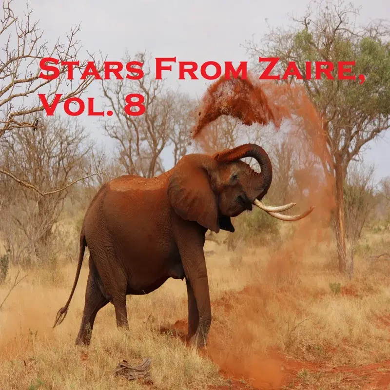 Stars From Zaire, Vol. 8