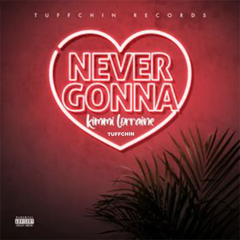 Never Gonna