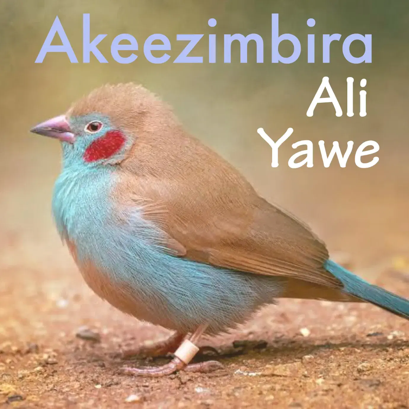 Akeezimbira