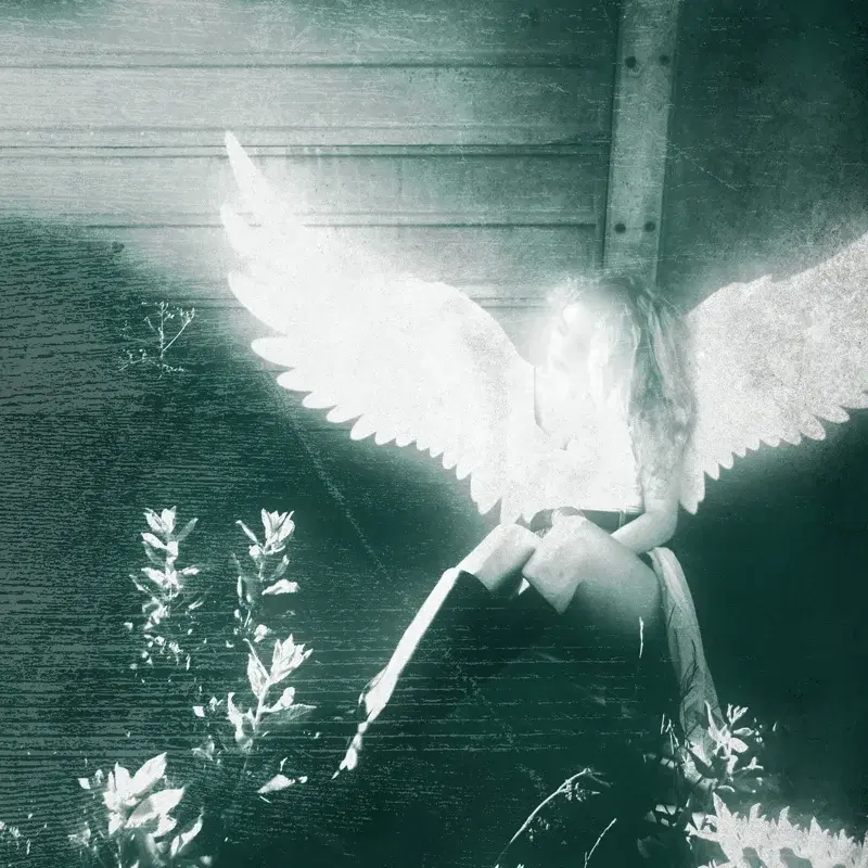 Celestial Angels