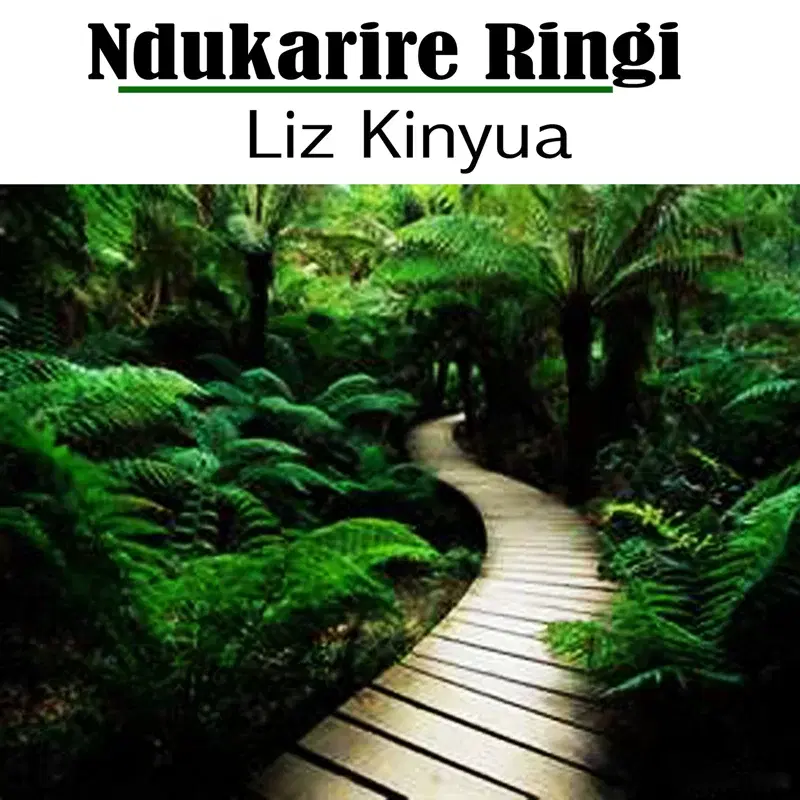 Ndukarire Ringi