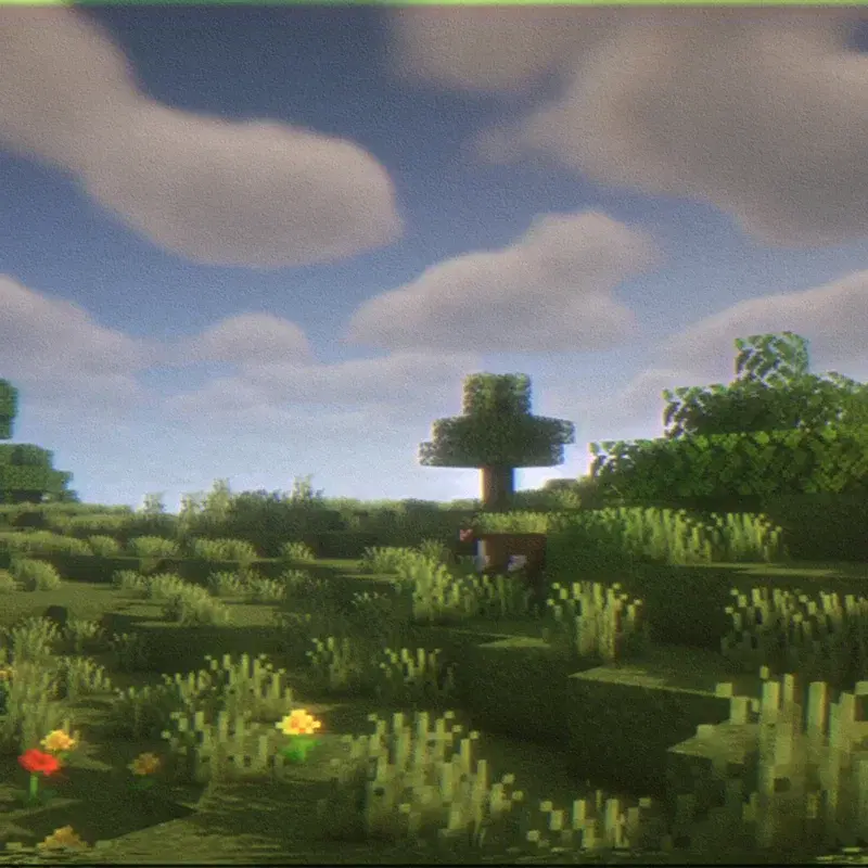 forgotten trails
