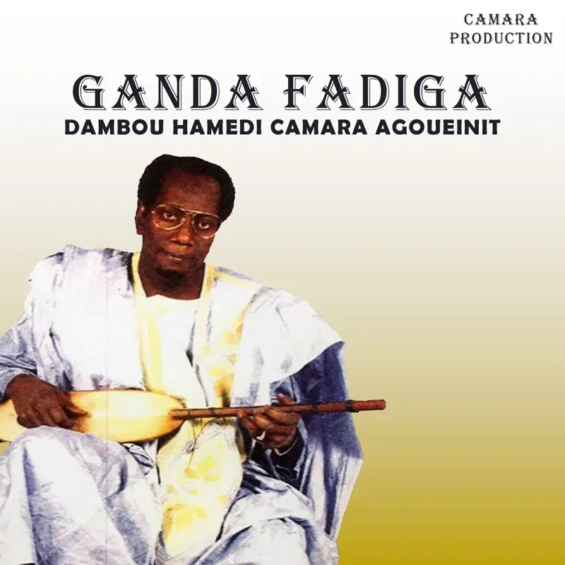 Dambou Hamedi Camara Agoueinit