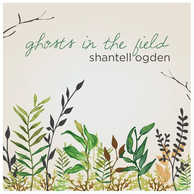 Ghosts in the Field