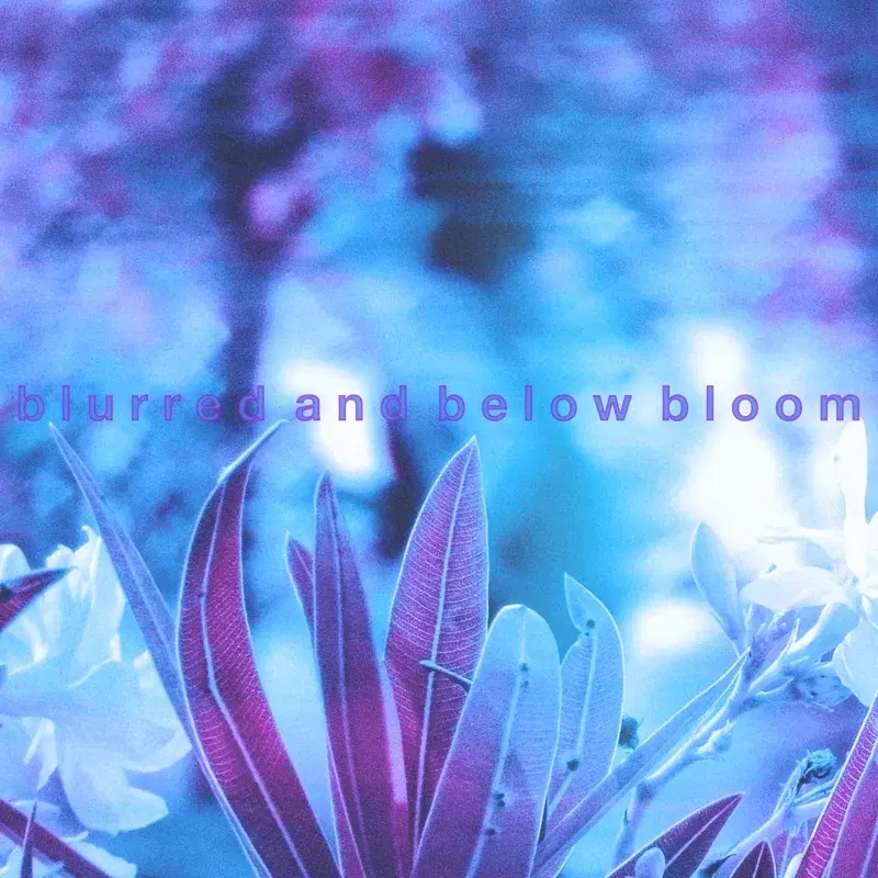 Blurred And Below Bloom