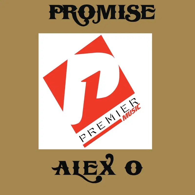 Promise