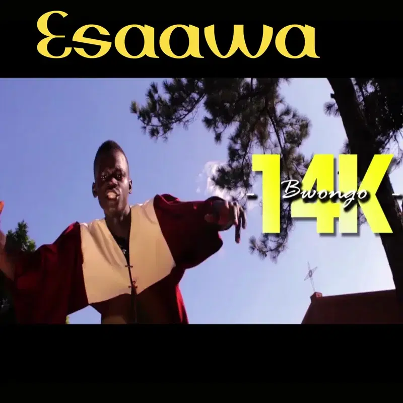 Esaawa