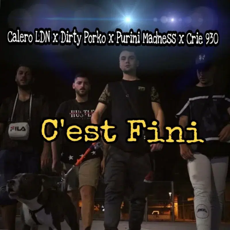 C'est Fini