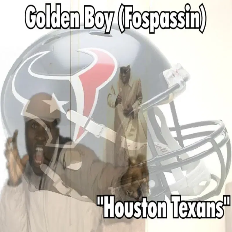 Houston Texans