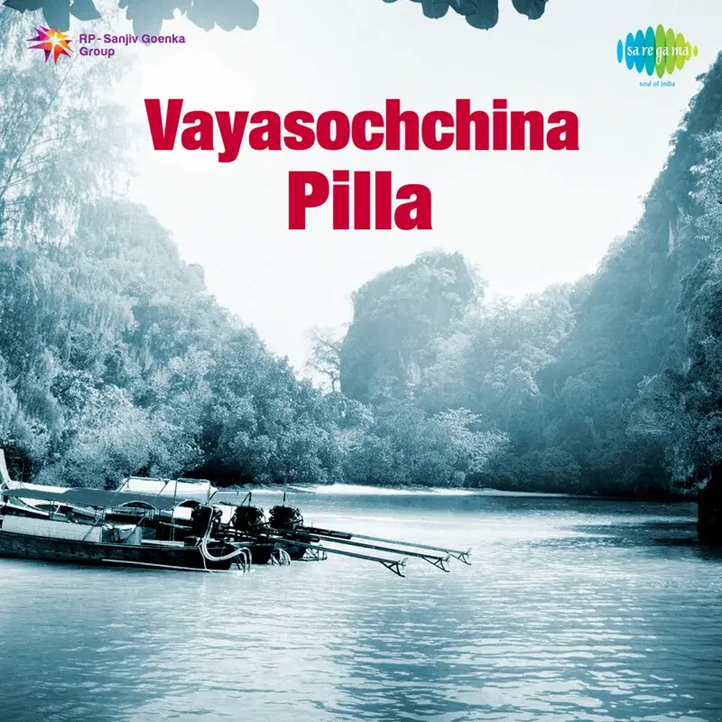 Vayasochchina Pilla (Original Motion Picture Soundtrack)