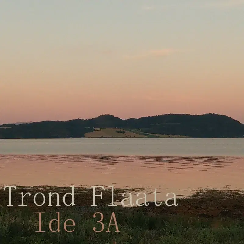 Ide 3A