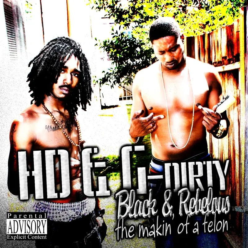 Black & Rebellious the Makin of a Felon