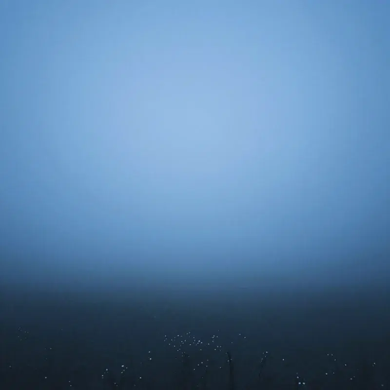 Low Grid