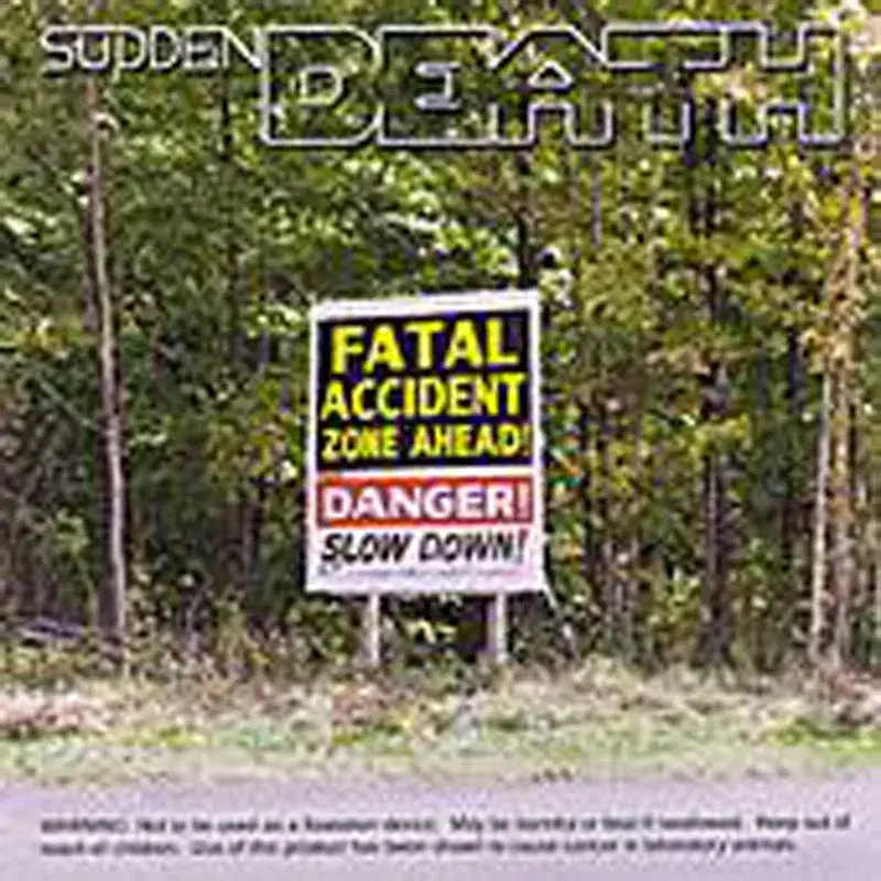 Fatal Accident Zone