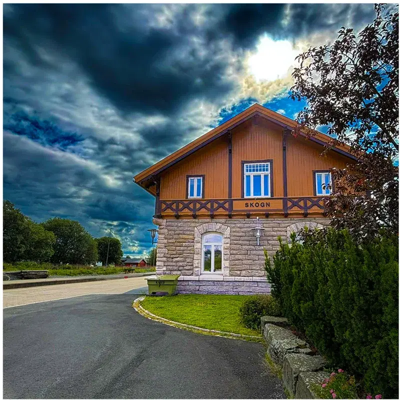 Skogningen
