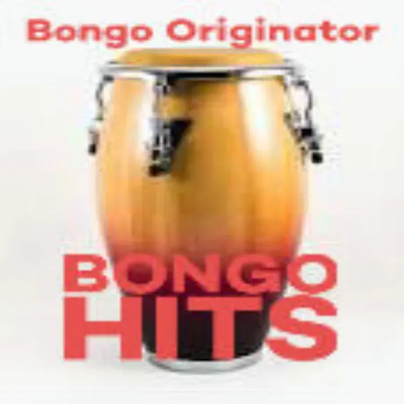 Bongo Hits