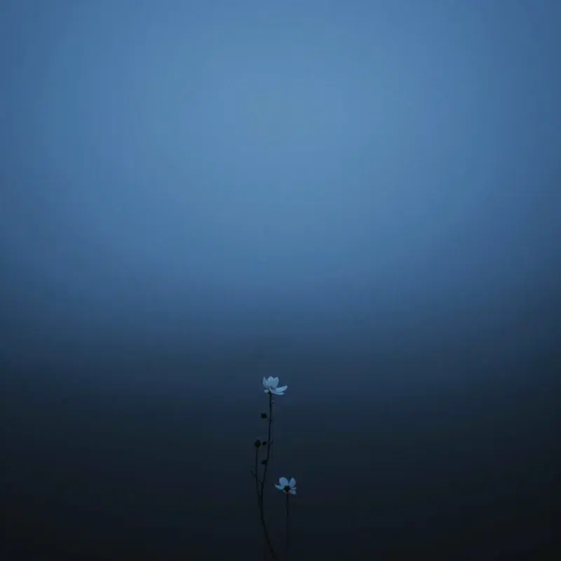 Still Air