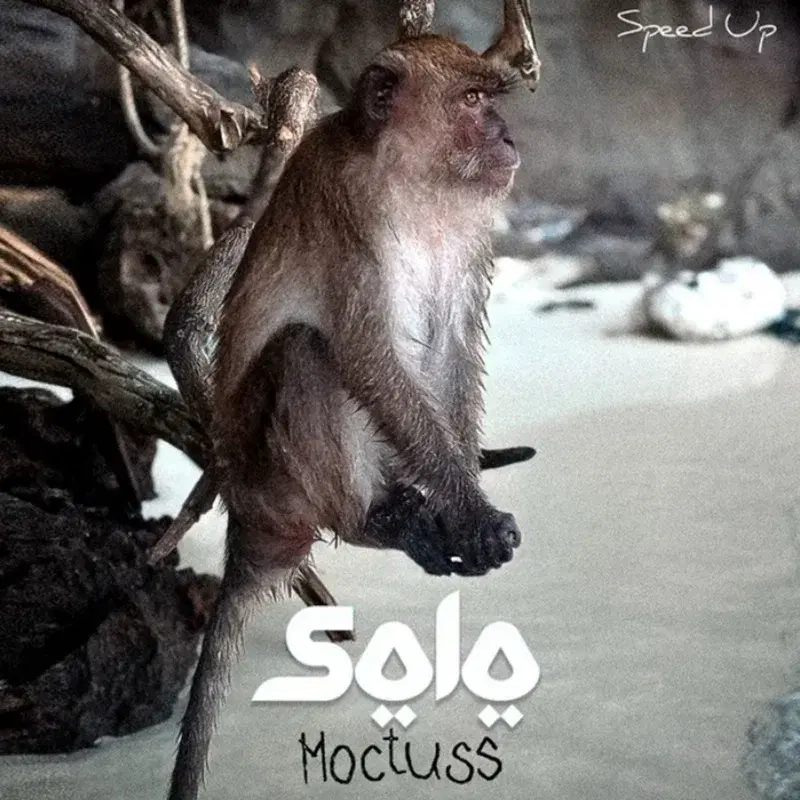 SOLO