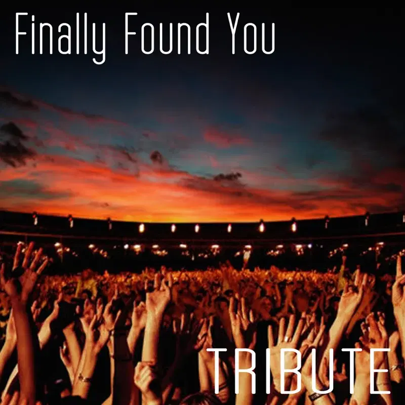 Finally Found You (Tribute to Enrique Iglesias Feat. Sammy Adams)