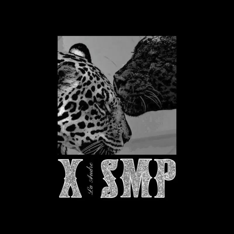 X SMP