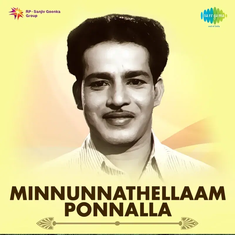 Minnunnathellaam Ponnalla (Original Motion Picture Soundtrack)