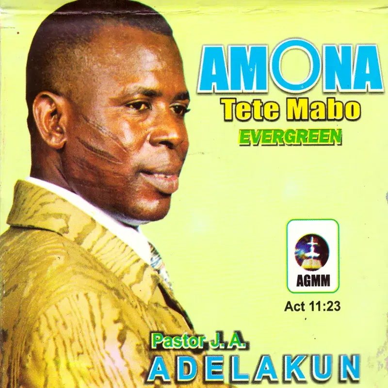 Amona Tete Mabo Evergreen