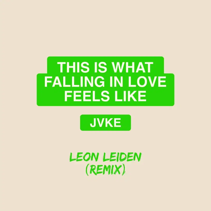 this is what falling in love feels like (Leon Leiden Remix)