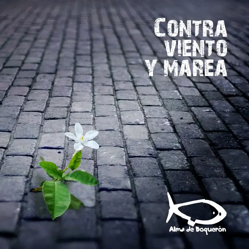Contra Viento y Marea
