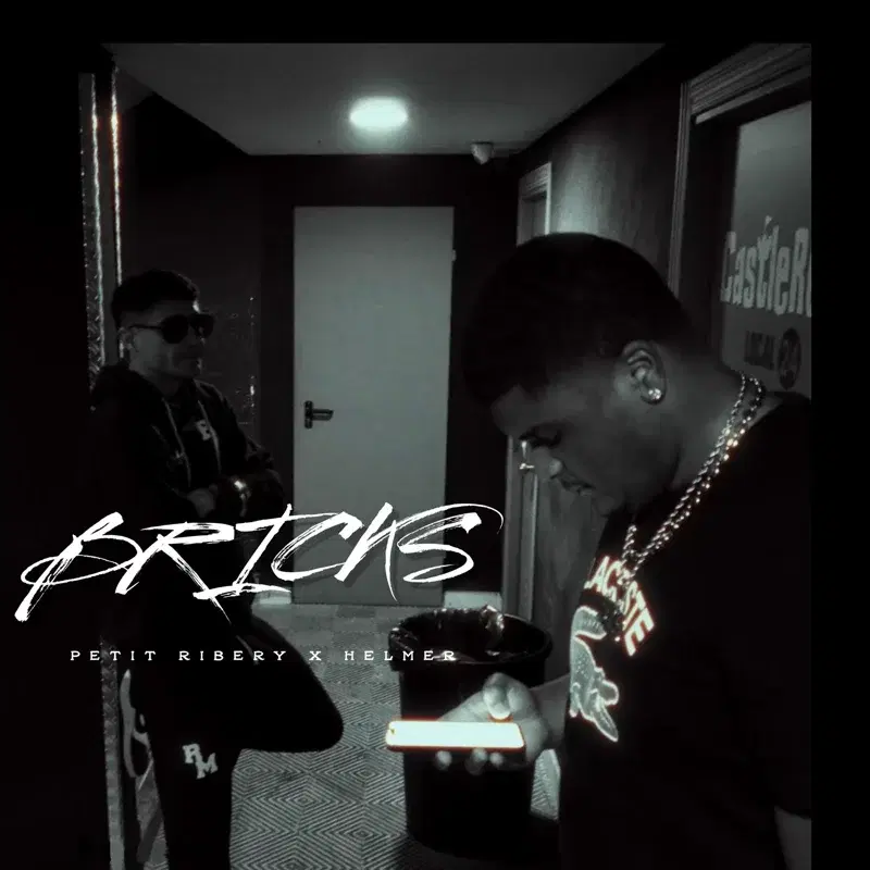 Bricks