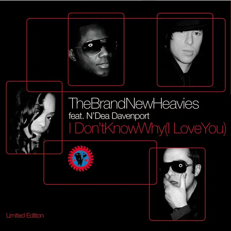 I Don’t Know Why I Love You - The Mixes