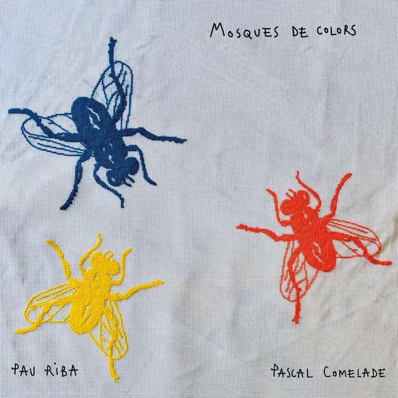 Mosques de Colors
