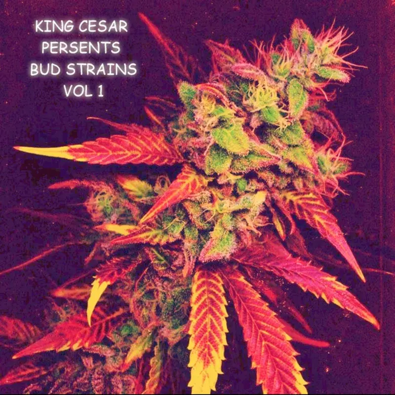 Bud Strains, Vol. 1