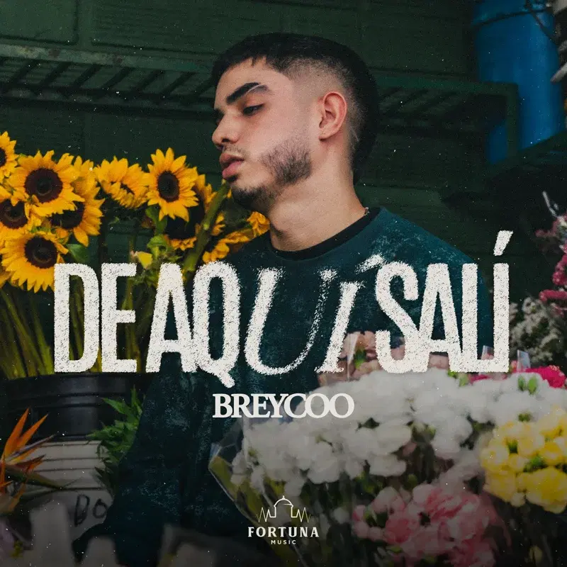 DE AQUÍ SALÍ