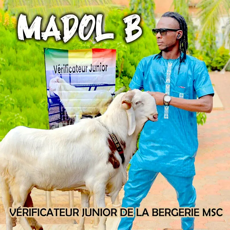 Vérificateur Junior De La Bergerie MSC