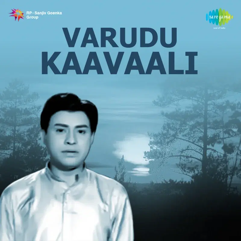 Varudu Kaavaali (Original Motion Picture Soundtrack)