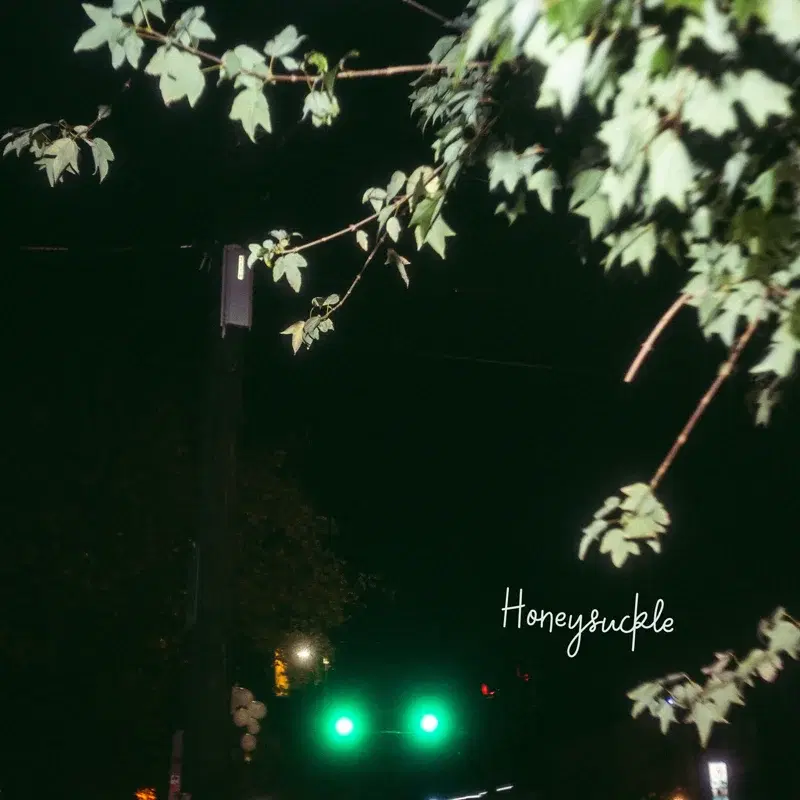 Honeysuckle