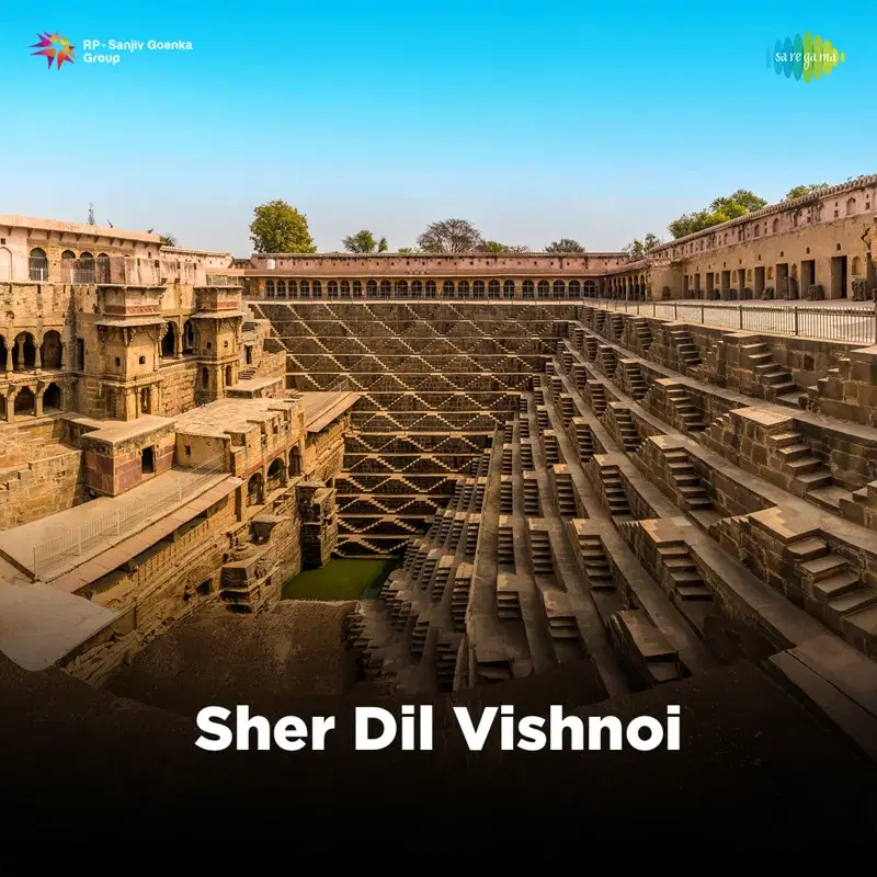 Sher Dil Vishnoi