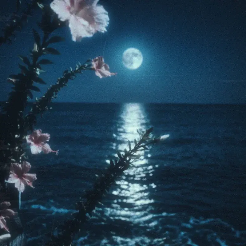 silver moon