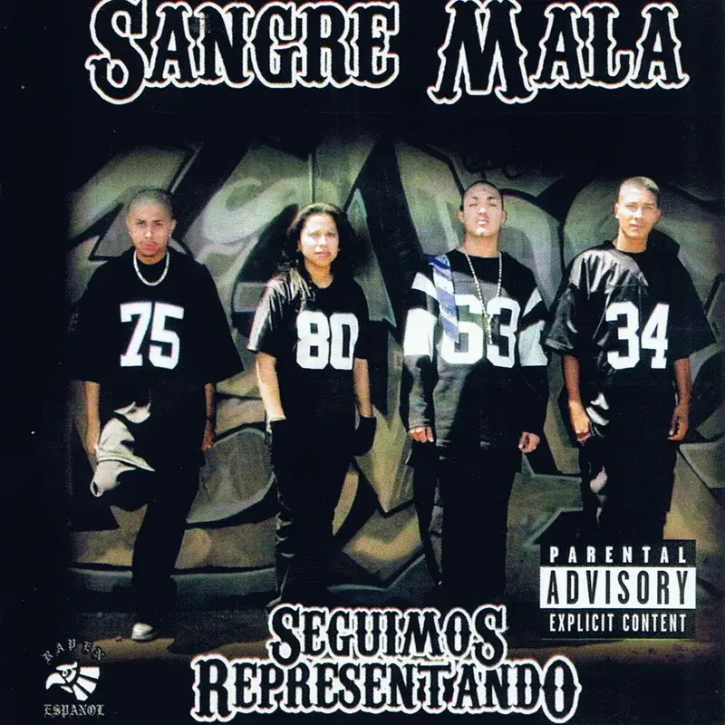 Seguimos Representando