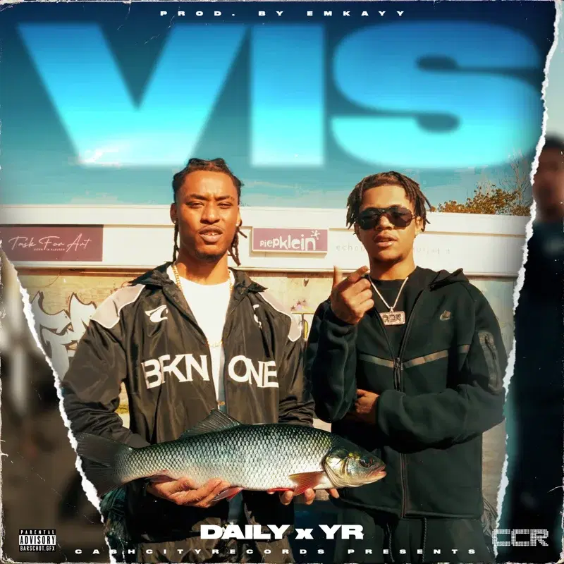 Vis
