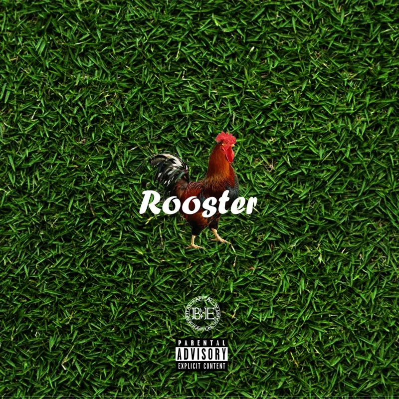 Rooster