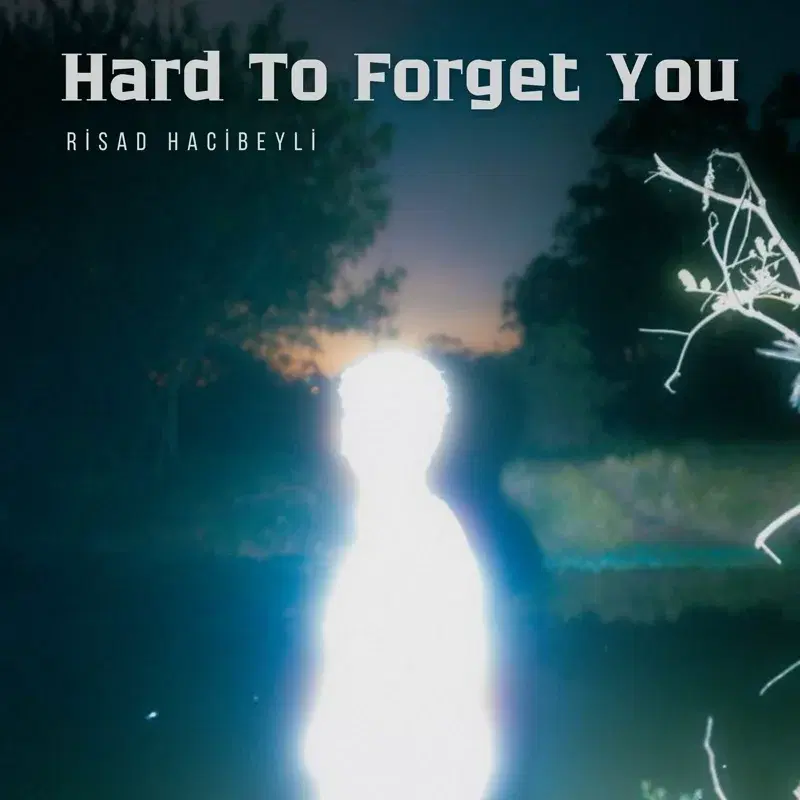 Hard To Forget You