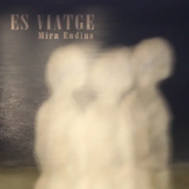Mira Endins