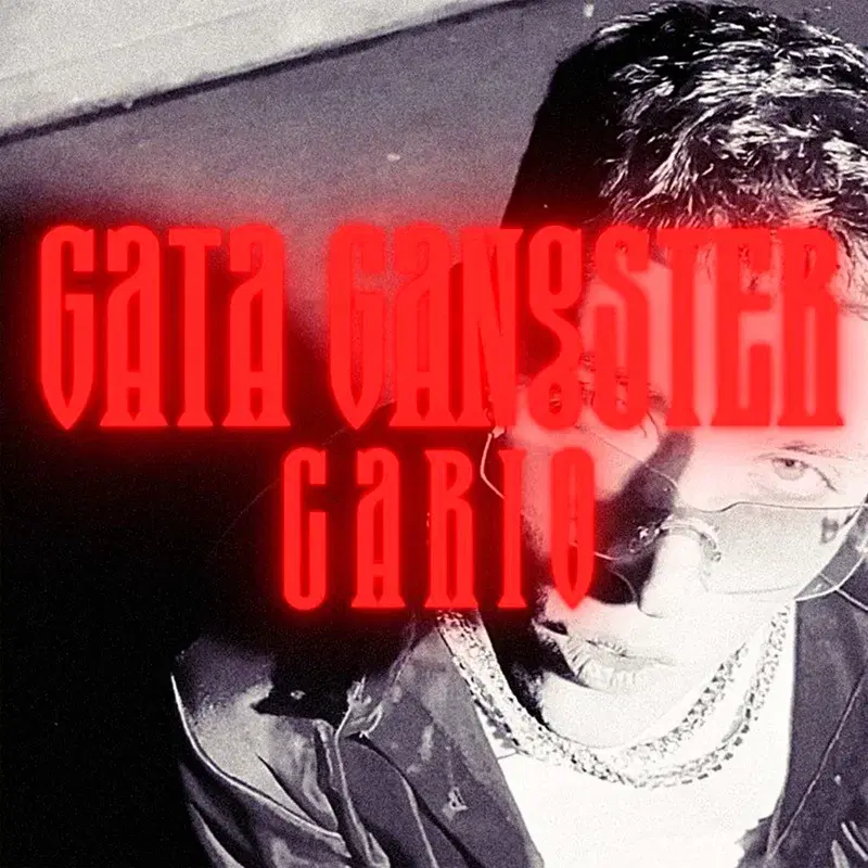 Gata Gangster