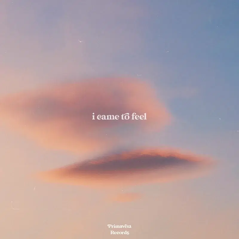 I Came To Feel