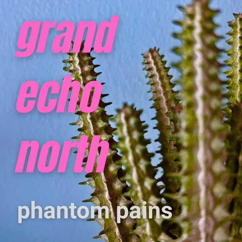 Phantom Pains