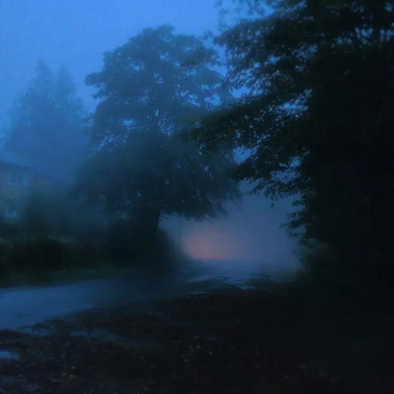 quiet awakening