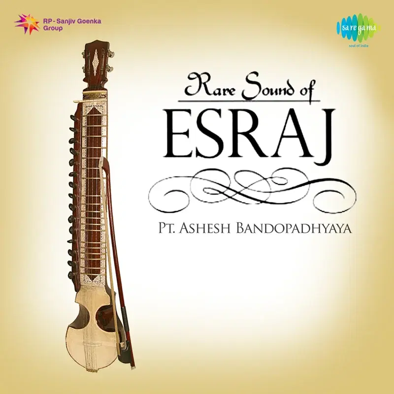 Rare Sound of Esraj